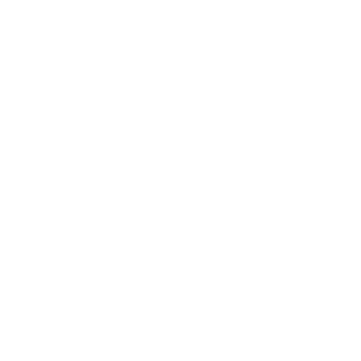 41_Bina